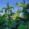 Alive Beach House