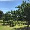 Maison Dream in Marciac