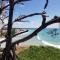 At Melaleuca 3