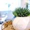 Designer apartments for City Breaks in Chester