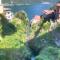 Reginaldo's home Bed&Breakfast - Nesso