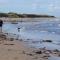 RICK'S RETREAT static caravan near the beach with free wifi - Lossiemouth