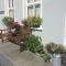 Doolin Lanelodge -Room Only-