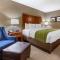 Comfort Inn & Suites Avera Southwest - 苏福尔斯