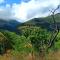 Rocky Drift Private Nature Reserve - Waterval Boven