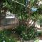 Apartments with a parking space Podgora, Makarska - 6682