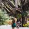 Aves Resort Montezuma