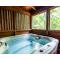 Romantic Mountain Shanty with Hot Tub and Fireplace - 赛维尔维尔