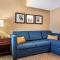 Comfort Inn Meadowlands