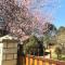 Clarens Log Cabin