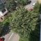 Bloom Box Apartments - Craiova