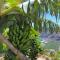 Casa Sol