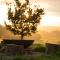 Wild Northumberland Glamping