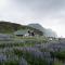 Vík Cottages - Vík