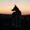 Macapa