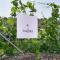 LA TAGORA Conect with the nature & relax - Icod de los Vinos