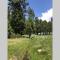 High Sierra Retreat with a view of Pinecrest lake - بينيكريست