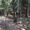 Durmitor Apartments Holiday - Žabljak