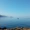 FAROS