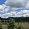 The Cottonwood