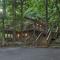 Cozy Hillside Hideaway in Wintergreen Resort! - Lyndhurst