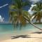 APPARTEMENT T2 ROUTE DES SALINES