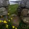 Doolin Lanelodge -Room Only-