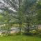 Lake Placid Gem with Patio and Views Less Than 1 Mi to Beach! - ليك بلاسيد