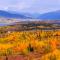 Prospector Village 105C