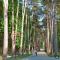Apartman Panorama Arandjelovac
