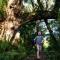 Mtunzini Forest Lodge Self Catering Resort