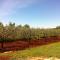 Solaria Apartments Porec