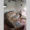 Bwthyn Bach Cozy country retreat