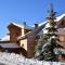 Beautiful DUPLEX ALPE D'HUEZ