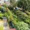 Sandra & Andrew's B&B - London