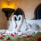 Riad Romance