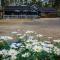 Ahvenlampi Camping