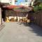 Guest House Donchevi