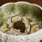The Olivar Suites - 梅松吉