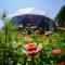 That's life Glamping - Dolomite Experience - Dorgnan