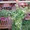 Auberge Saint Fleuret