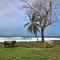 El Hongo Finca Hostal / Camping
