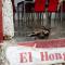 El Hongo Finca Hostal / Camping