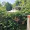 Apartament Forest