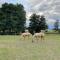 JZ Guest Ranch - Dobiegniew