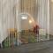BNCK Wellness Residence