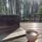 Aalto Koli