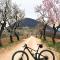 Villa Terme Padova-Relax & Wellness