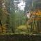 Cosy cottage in the Blackdown Hills Devon - 霍尼顿
