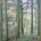 Cosy cottage in the Blackdown Hills Devon - 霍尼顿